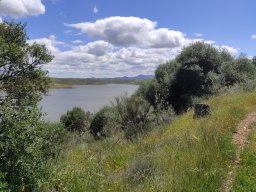 Flora del Cerro Masatrigo